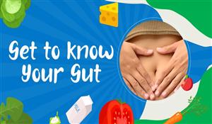 Let's Eat Together Episode 7 Getting to Know Your Gut